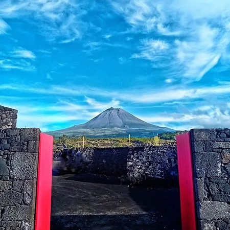 Welcome Pico Apartamento *