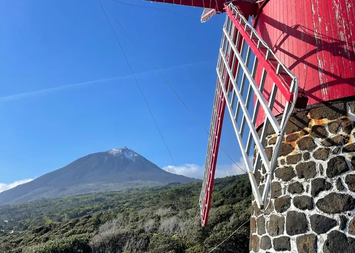 Apartment Welcome Pico